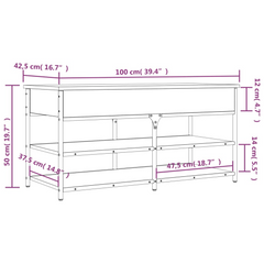 Black Shoe Bench – Durable Engineered Wood & Metal Frame, 100x42.5x50 cm, Storage Solution for Hallway & Living Room